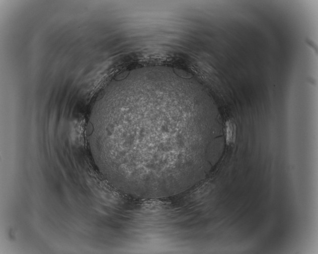 X0000103461059200809191806