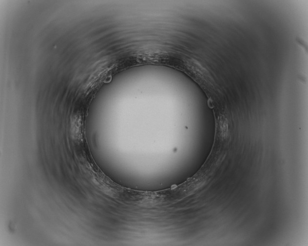 X0000103461060200809191806