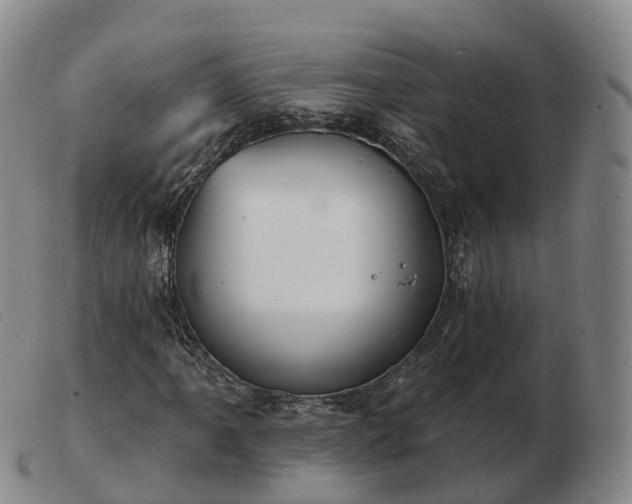 X0000103461061200809191806