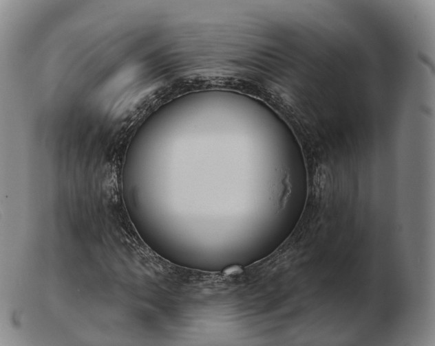 X0000103461062200809191806
