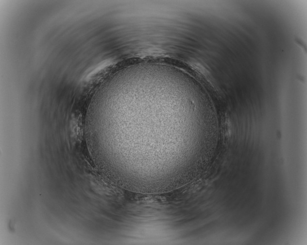 X0000103461063200809191806