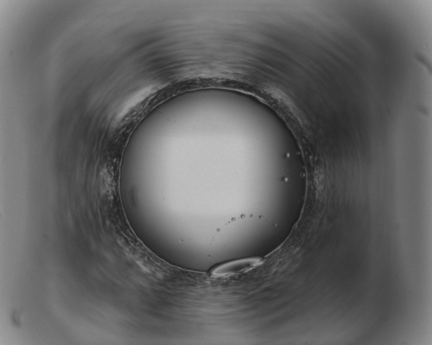 X0000103461064200809191806