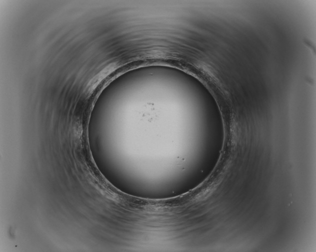 X0000103461065200809191806