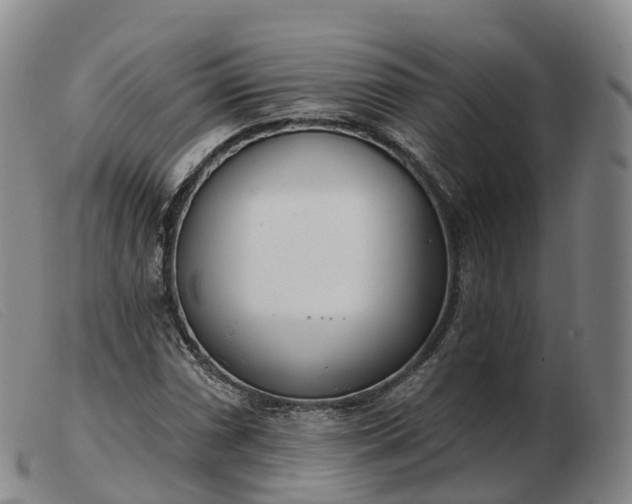 X0000103461066200809191806