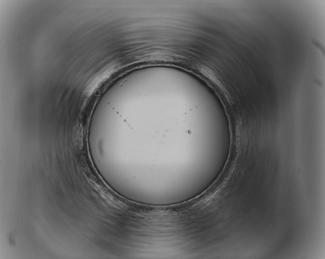 X0000103461067200809191806