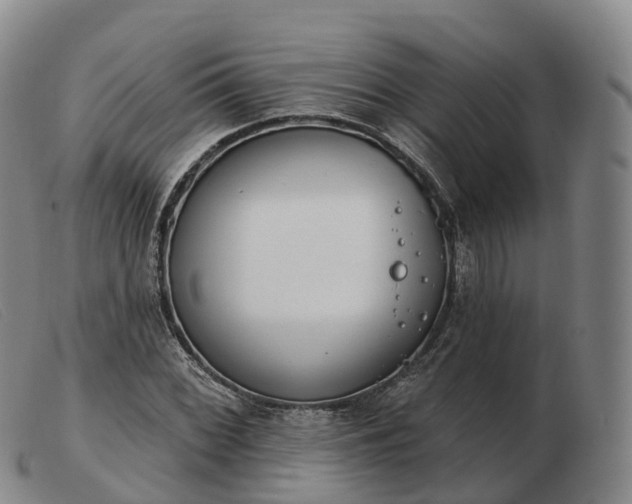 X0000103461068200809191806