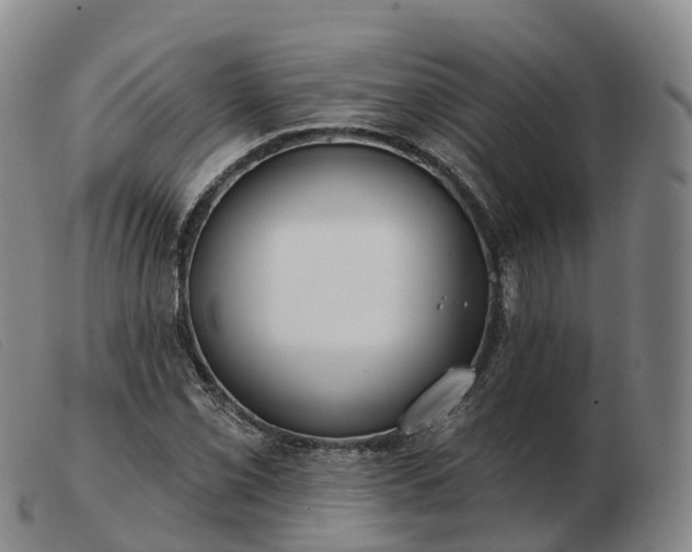 X0000103461069200809191806