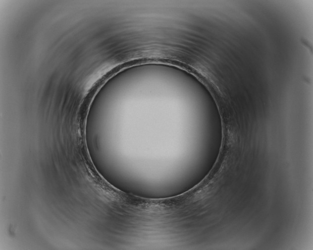 X0000103461070200809191806