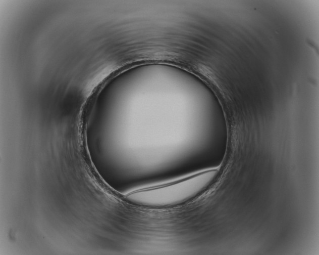 X0000103461071200809191806