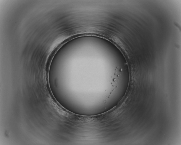 X0000103461072200809191806