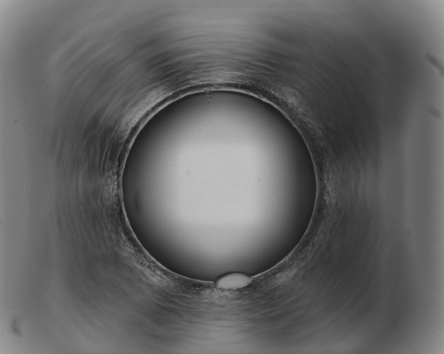 X0000103461073200809191806
