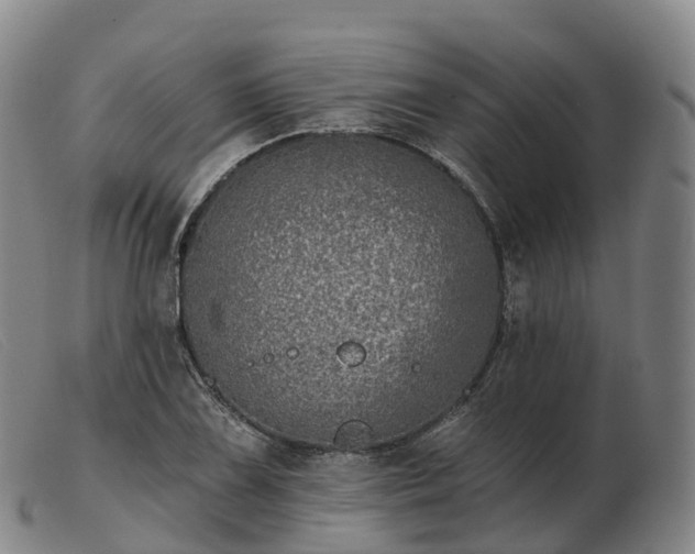 X0000103461075200809191806