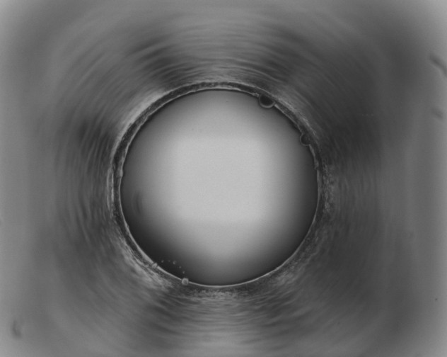 X0000103461076200809191806