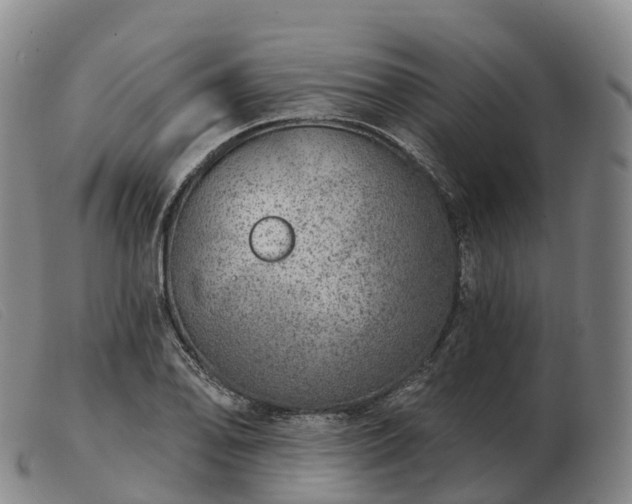 X0000103461078200809191806