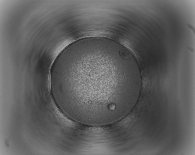 X0000103461079200809191806