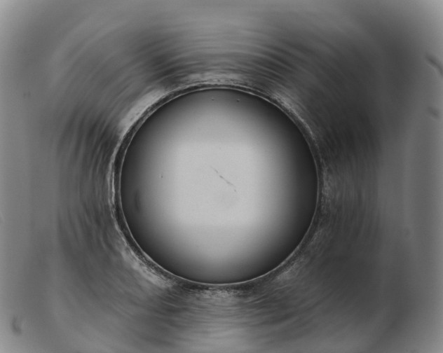 X0000103461082200809191806