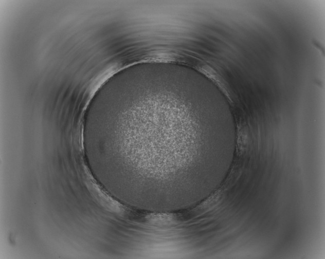 X0000103461083200809191806
