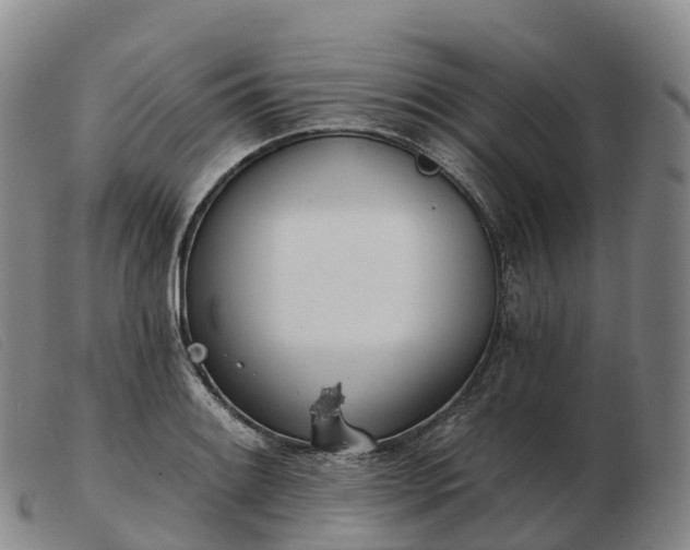 X0000103461084200809191806