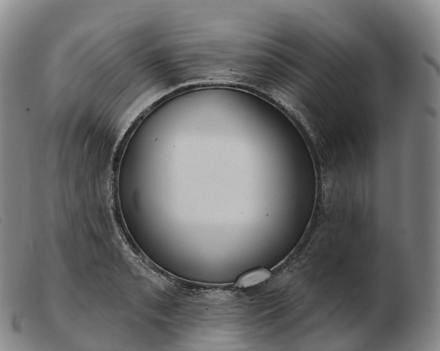 X0000103461085200809191806