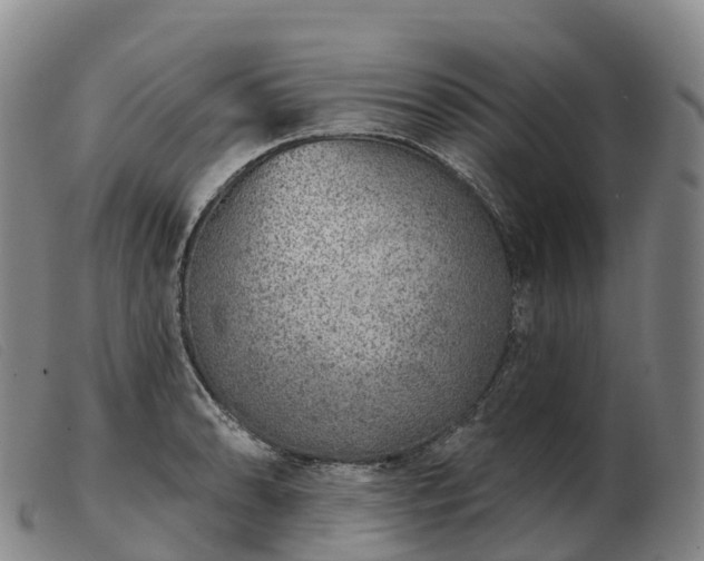 X0000103461086200809191806