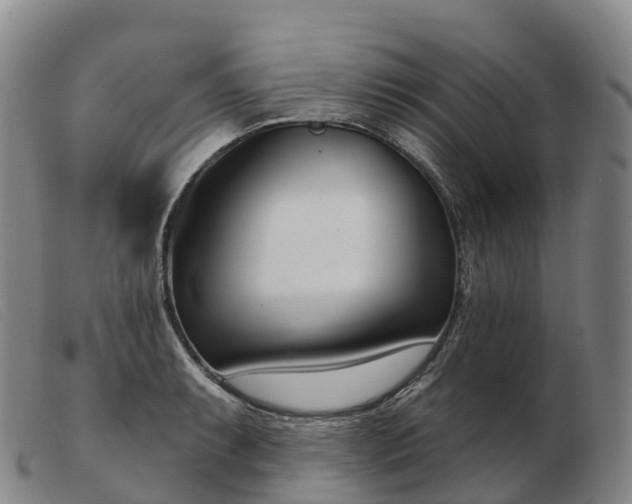 X0000103461087200809191806