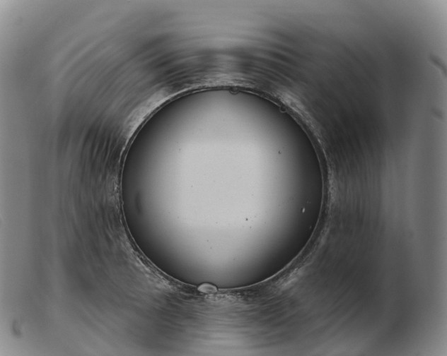 X0000103461089200809191806