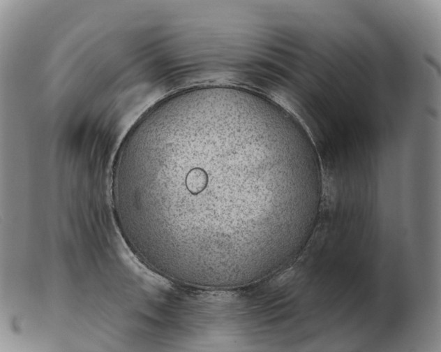 X0000103461090200809191806
