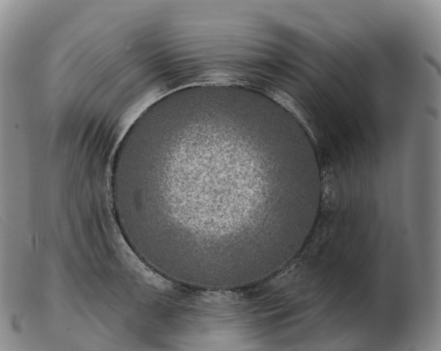 X0000103461091200809191806