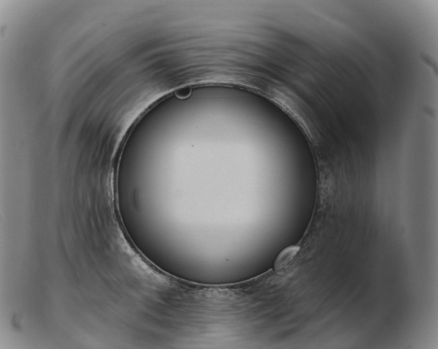 X0000103461092200809191806