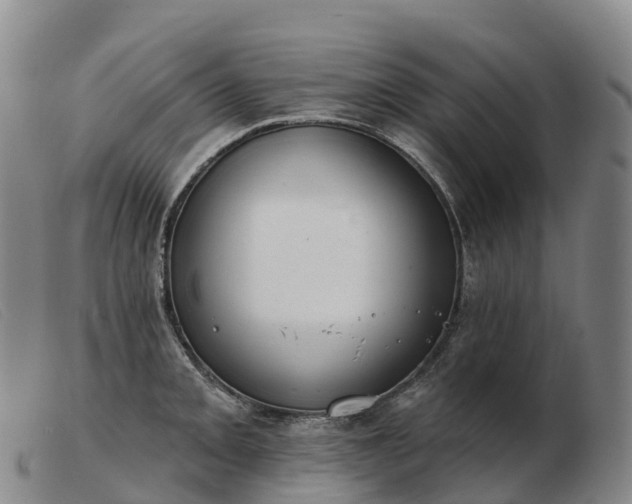 X0000103461093200809191806