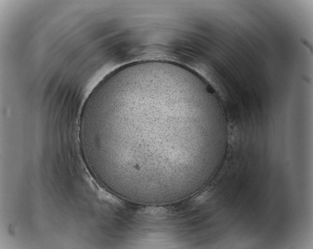 X0000103461094200809191806