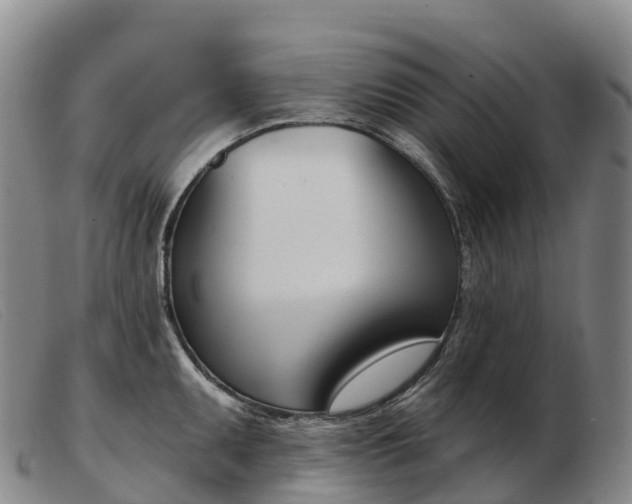 X0000103461095200809191806