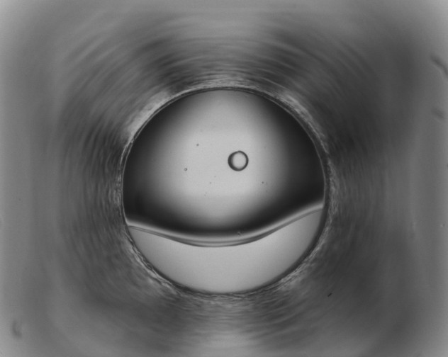 X0000103461097200809191806