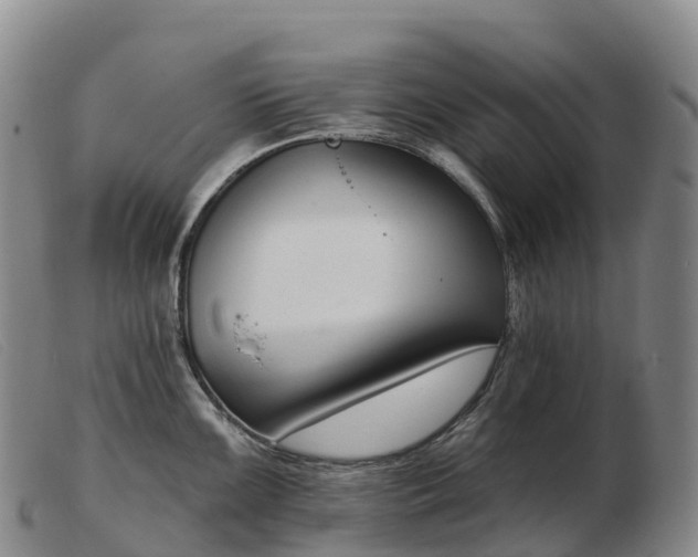 X0000103461099200809191806