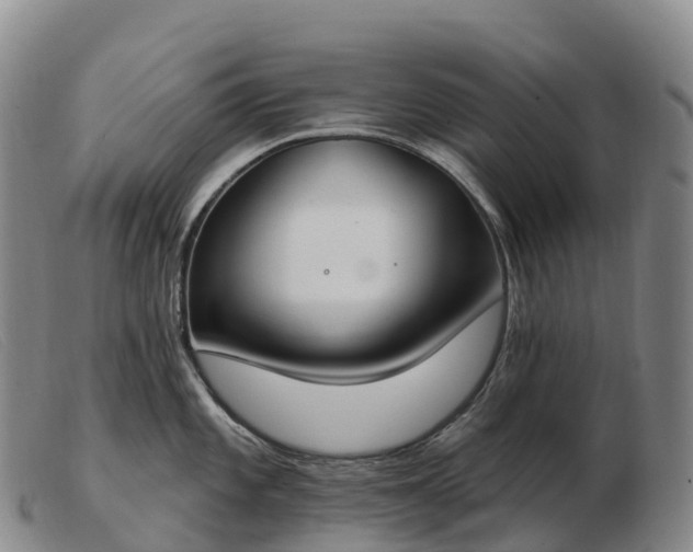 X0000103461101200809191806