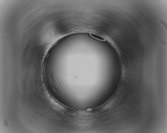 X0000103461102200809191806