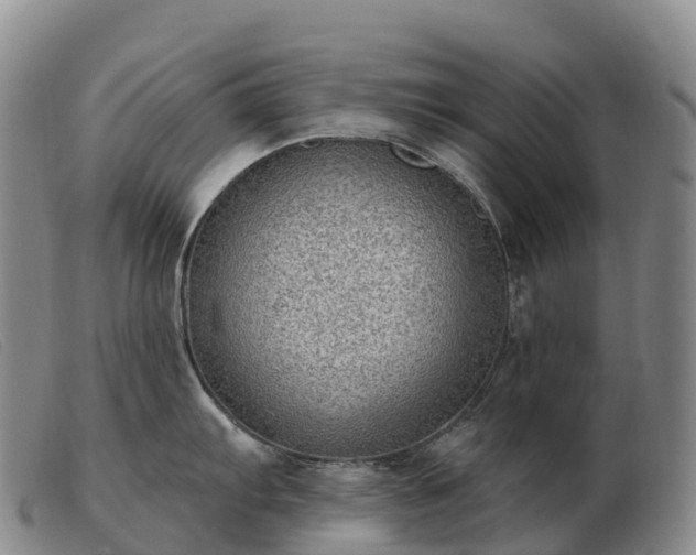X0000103461103200809191806