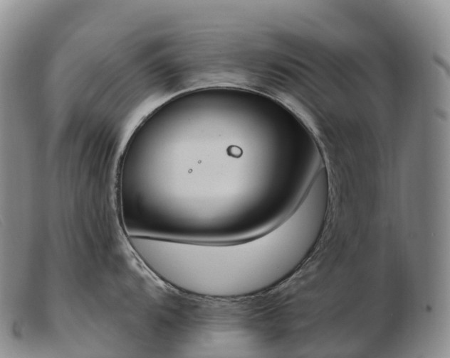 X0000103461104200809191806