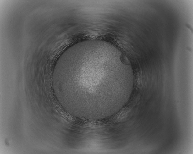X0000103461105200809191805