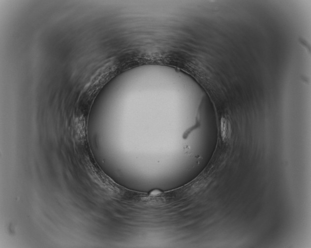 X0000103461107200809191805