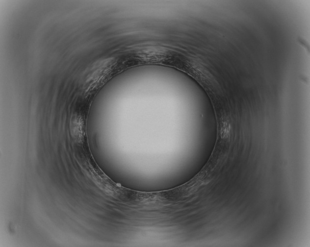 X0000103461108200809191805