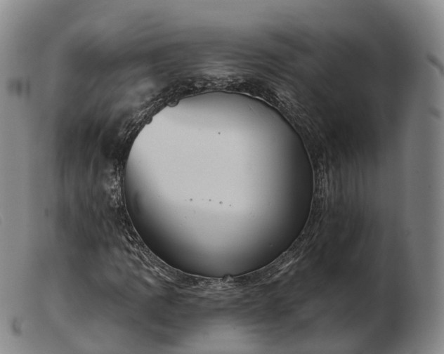 X0000103461109200809191805