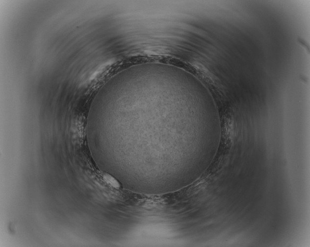 X0000103461110200809191805
