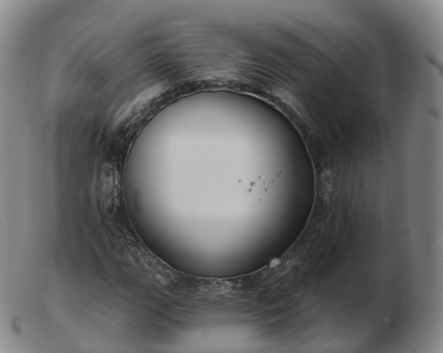 X0000103461111200809191805