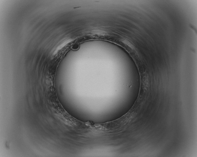 X0000103461112200809191805