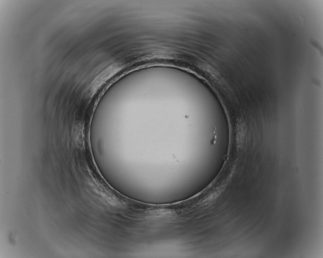 X0000103461113200809191805
