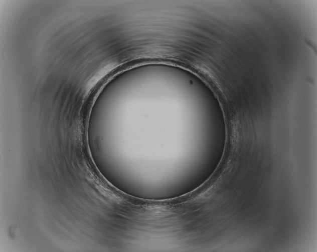 X0000103461114200809191805