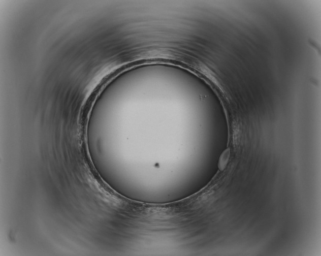 X0000103461116200809191805