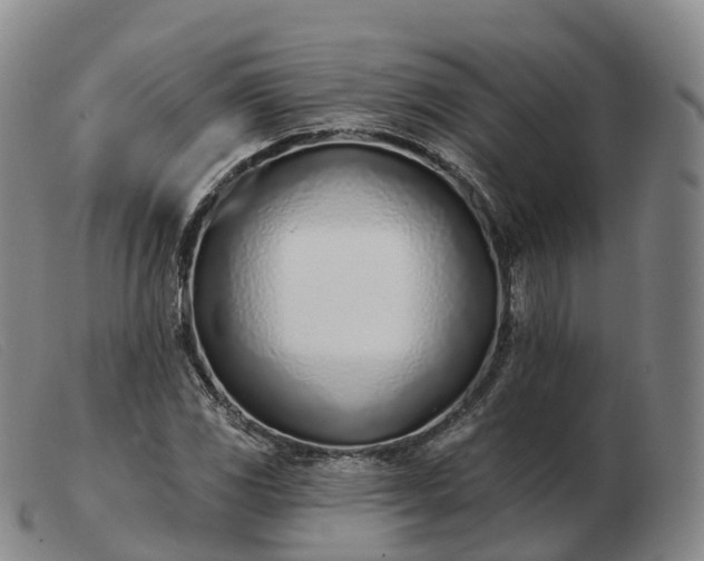 X0000103461117200809191805