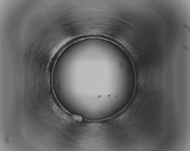 X0000103461118200809191805